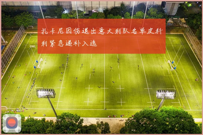 扎卡尼因伤退出意大利队名单皮科利紧急递补入选