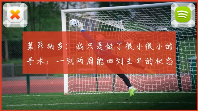 莱昂纳多：我只是做了很小很小的手术，一到两周能回到去年的状态