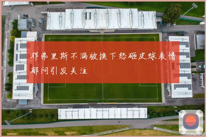 邓弗里斯不满被换下怒砸皮球表情郁闷引发关注