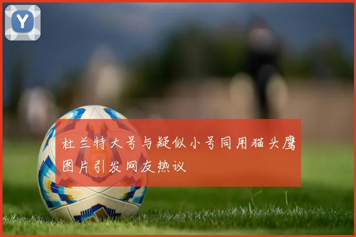 杜兰特大号与疑似小号同用猫头鹰图片引发网友热议