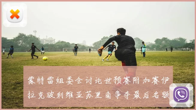 蒙特雷组委会讨论世预赛附加赛伊拉克玻利维亚苏里南争夺最后名额