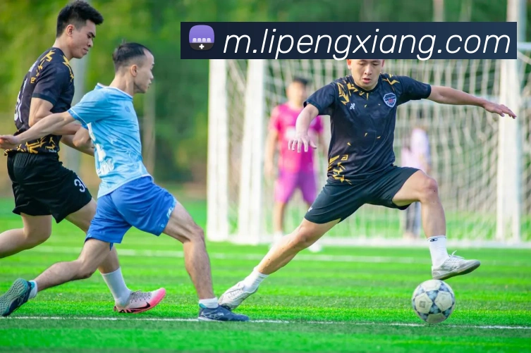 App Interface Preview