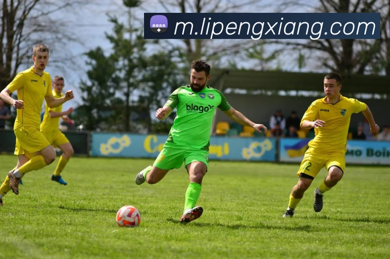 开云体育APP 封面图